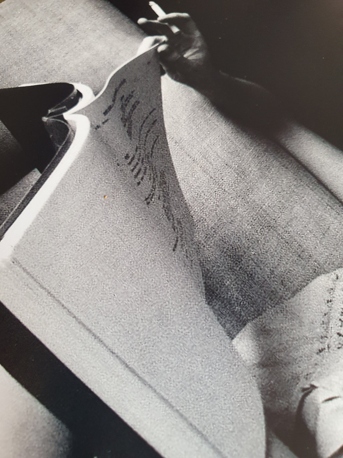 Photo Jacqueline Bisset avec son autographe et certificat d'authenticité