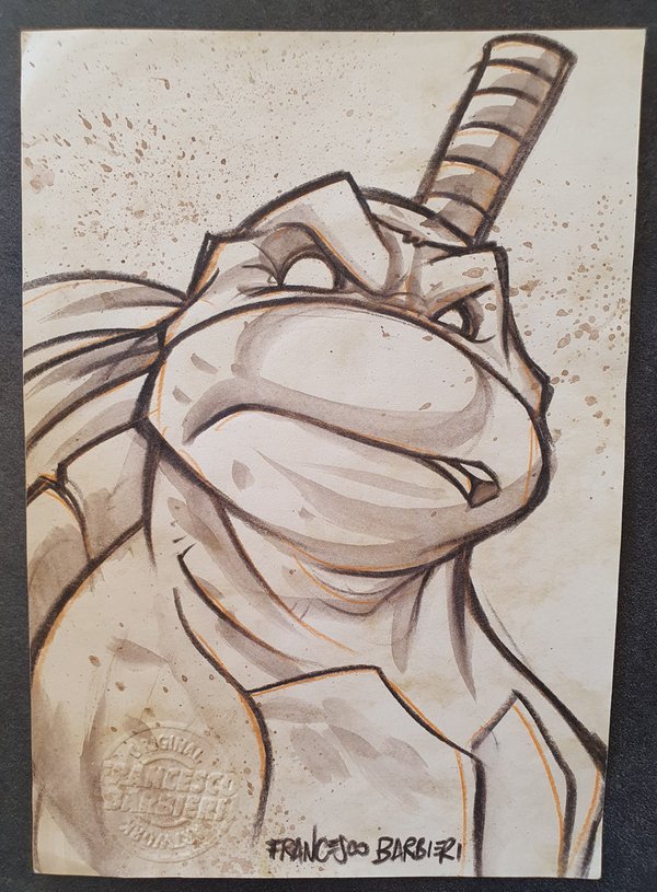 Tortue Ninja prête au combat Dessin original.