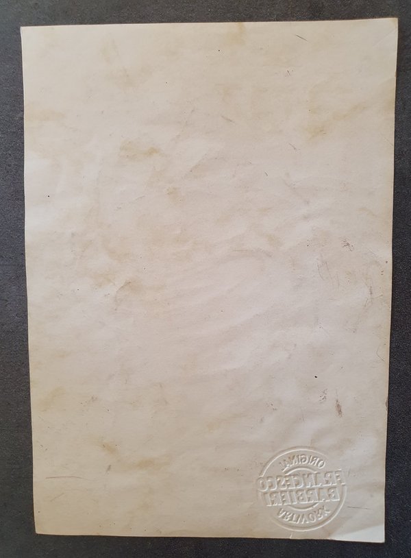 Tortue Ninja prête au combat Dessin original.