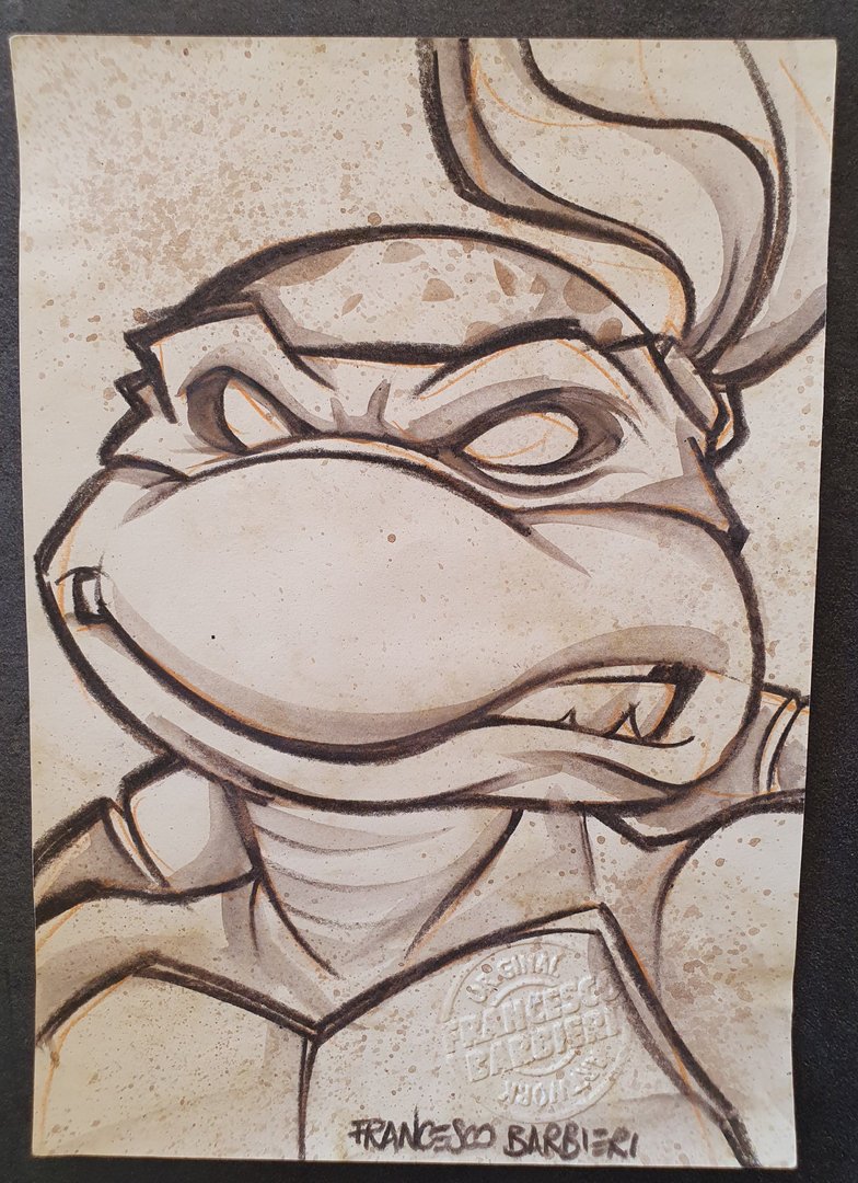 Tortue Ninja. Dessin original.