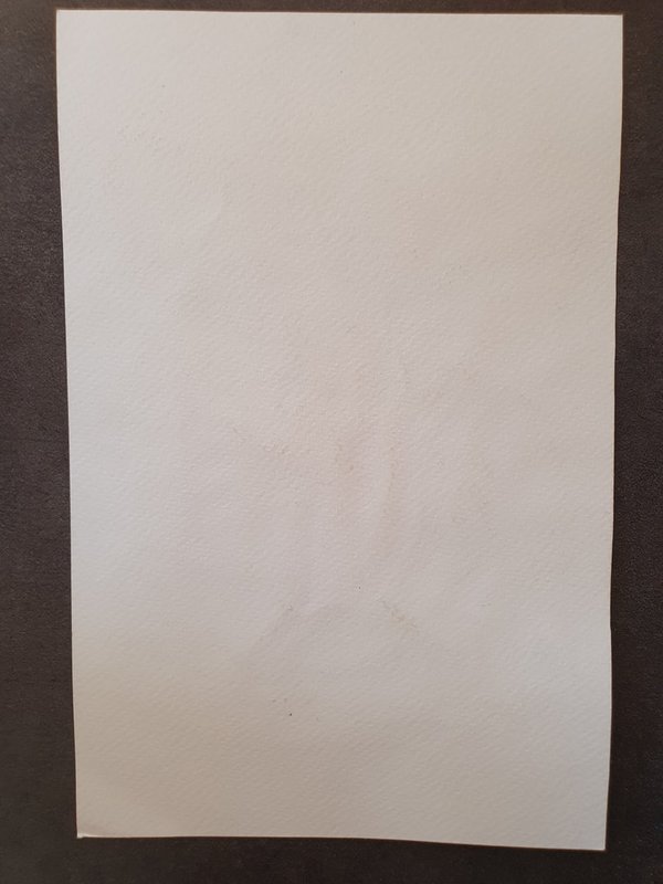 Porcinet aquarelle dessin original par Alan Coniconde