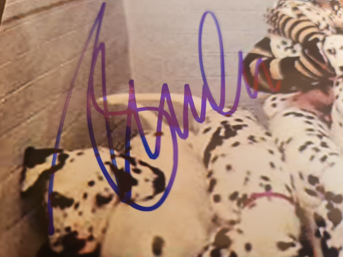 Glenn Close autographe sur photo des 101 Dalmatiens Disney PSA