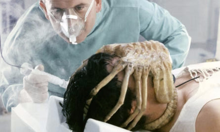 Alien Facehugger accessoire de film taille réelle