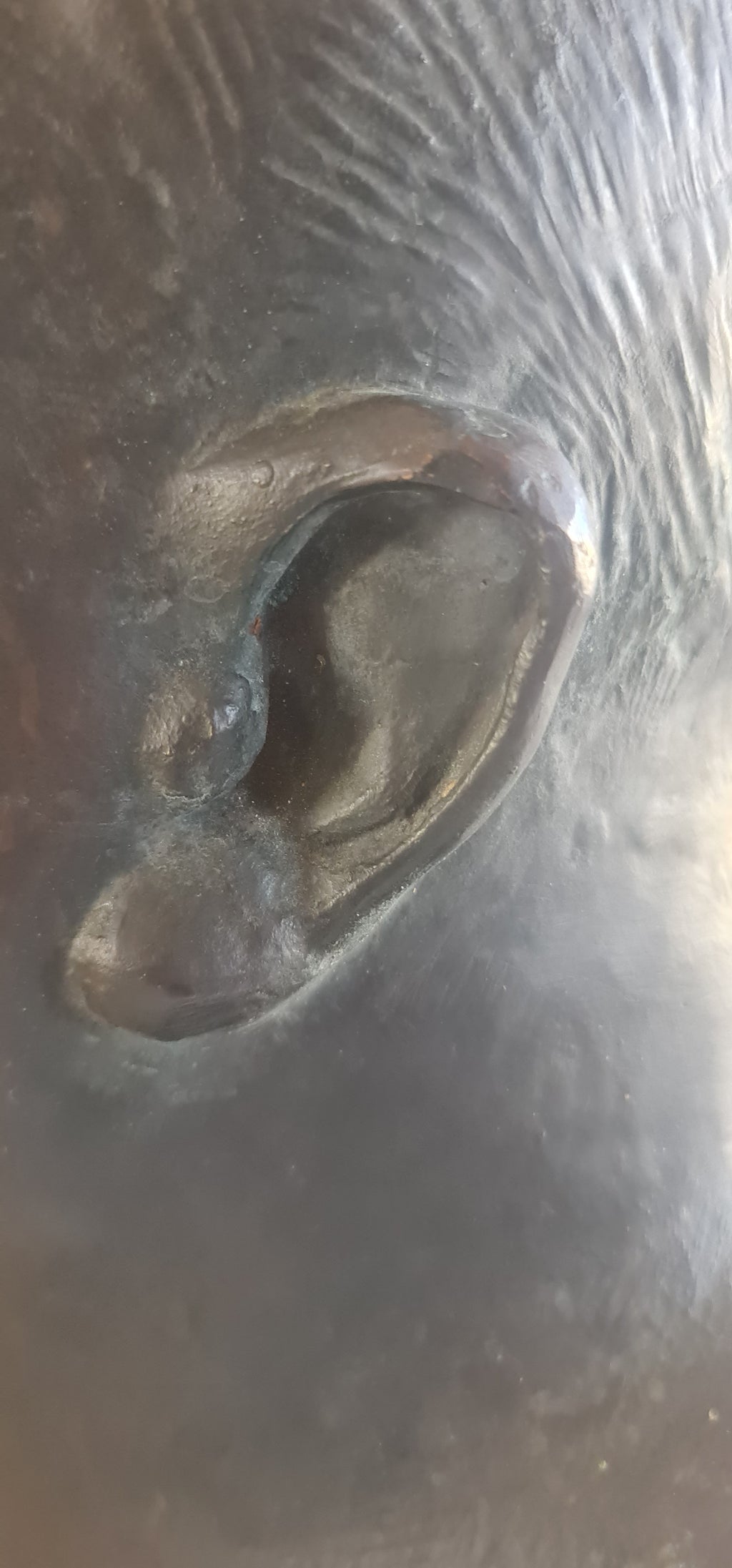 Buste bronze Georges Guyot et son plâtre