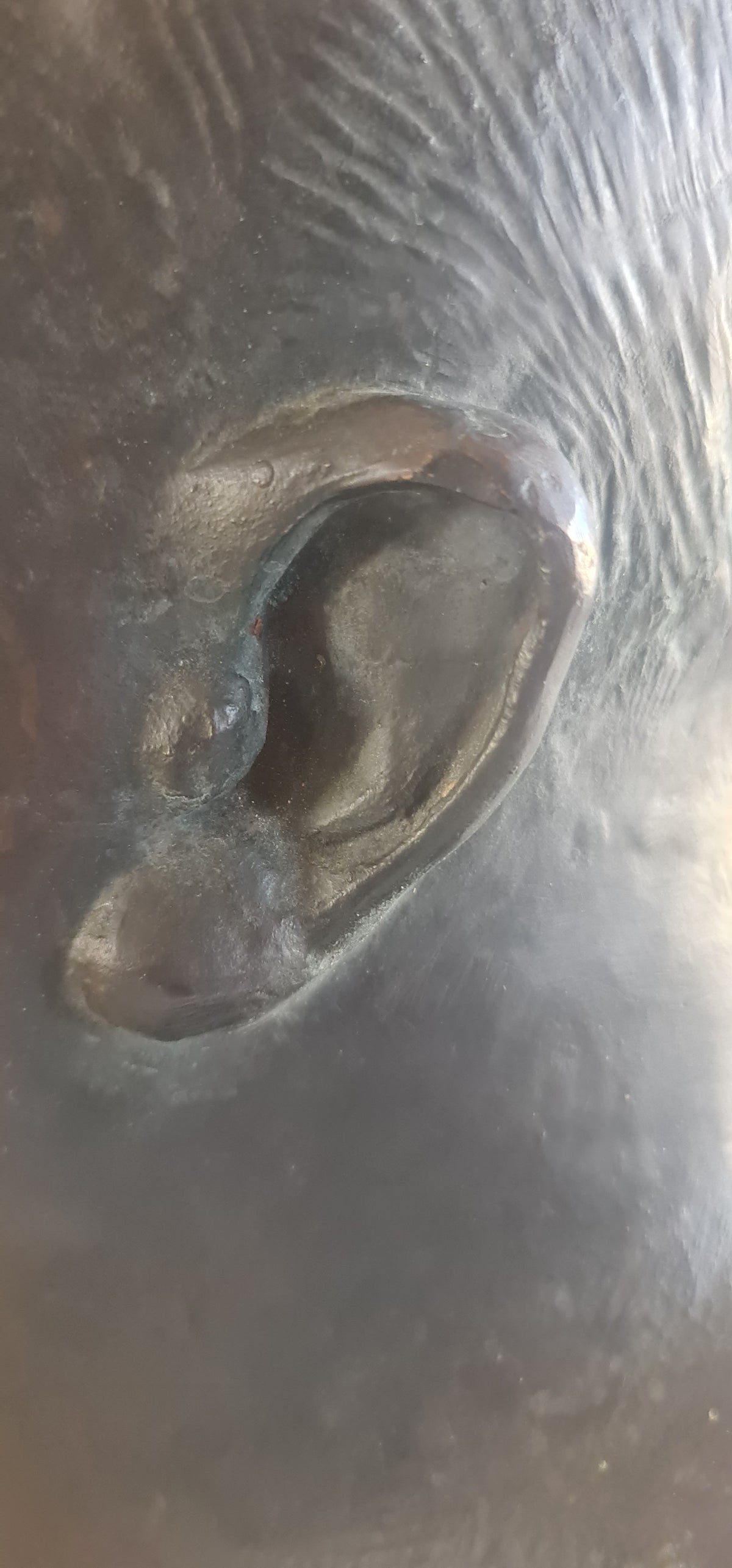 Buste bronze Georges Guyot et son plâtre