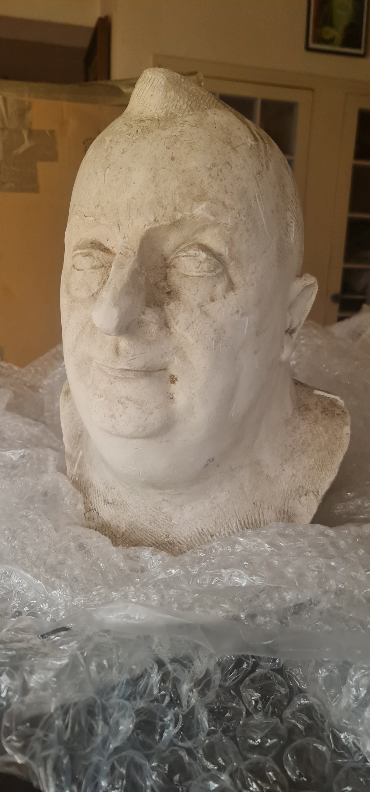 Buste bronze Georges Guyot et son plâtre