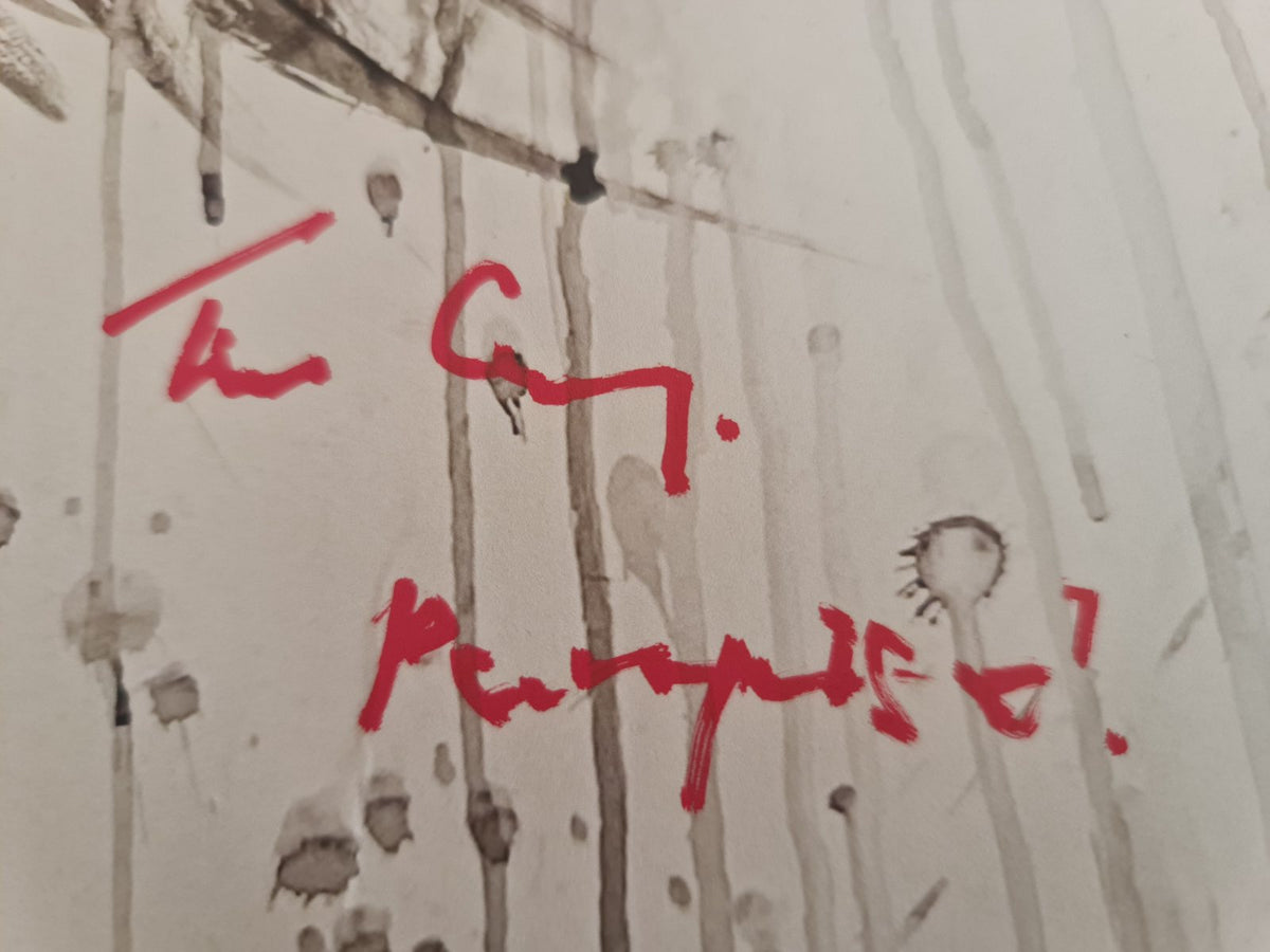 It sérigraphie en édition limitée signée par Tim Curry et Bill Skarsgard. Certificats