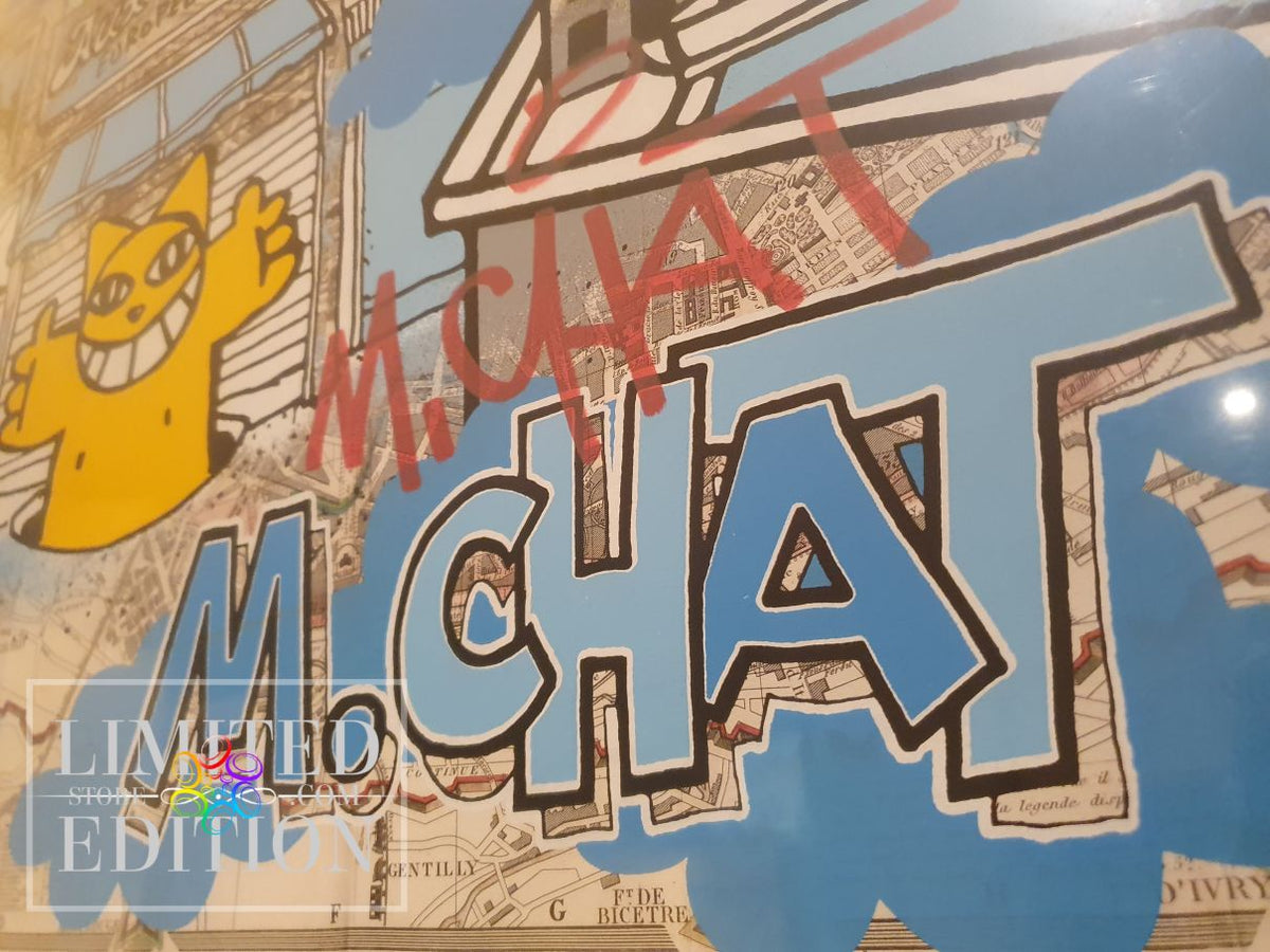 M CHAT Thoma Vuille - Aux Puces Européennes