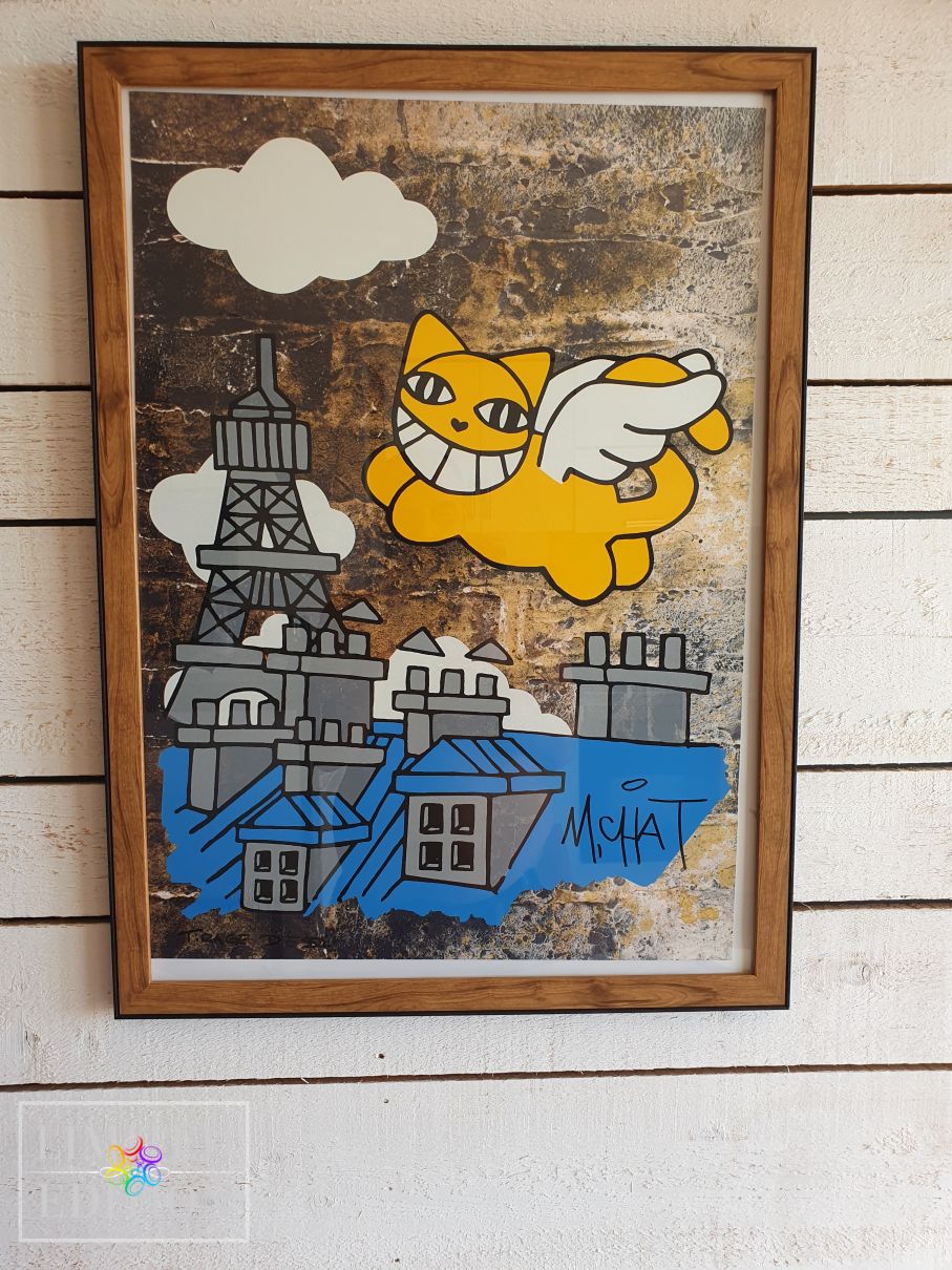 M CHAT Thoma Vuille - CHAT volant sur les toits de Paris