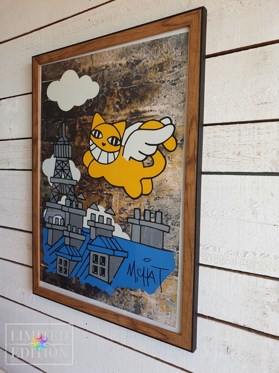 M CHAT Thoma Vuille - CHAT volant sur les toits de Paris