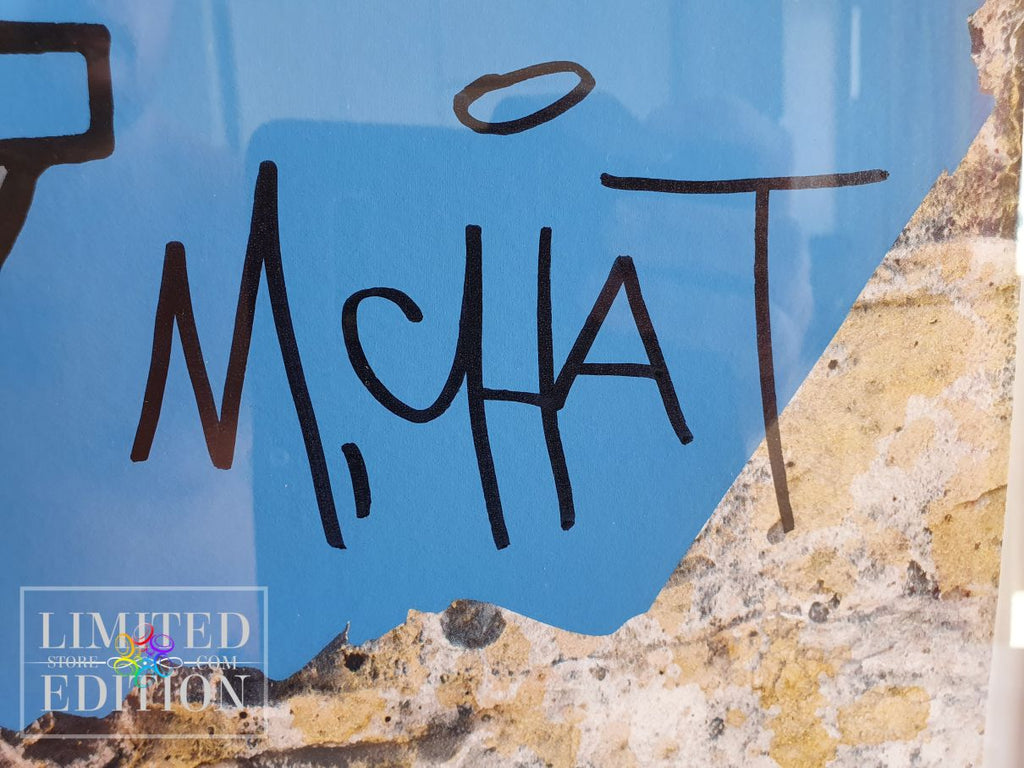M CHAT Thoma Vuille - CHAT volant sur les toits de Paris