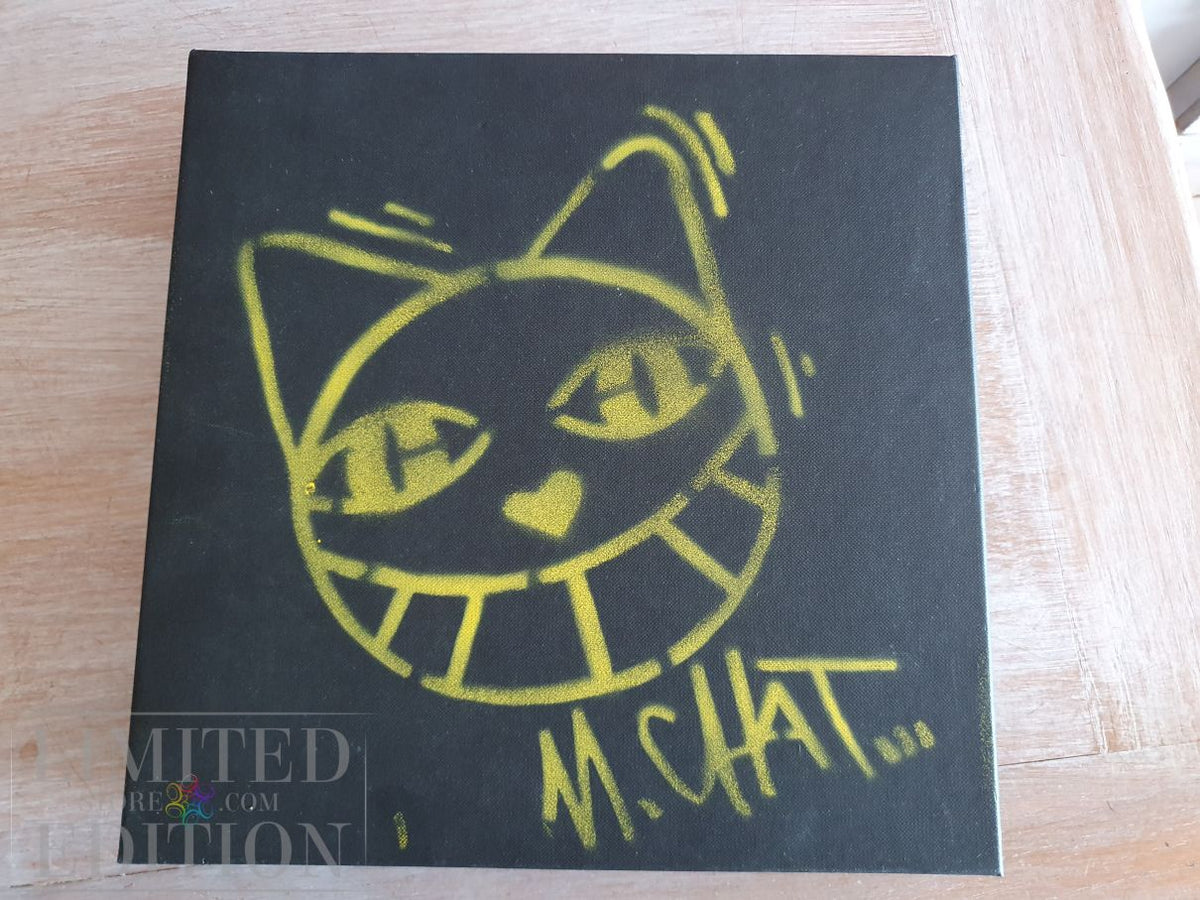 M CHAT Thoma Vuille - Coffret CHAT fait 20 ans