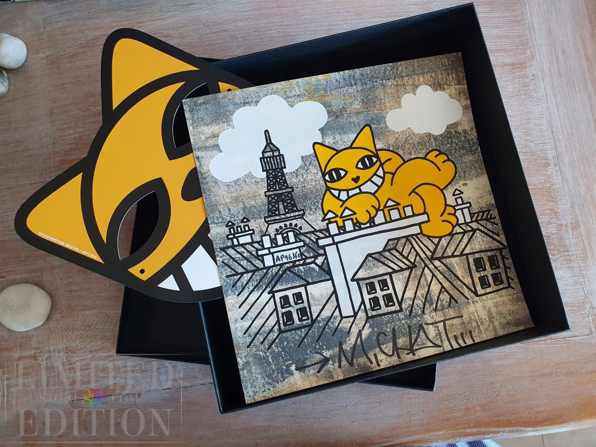 M CHAT Thoma Vuille - Coffret CHAT fait 20 ans