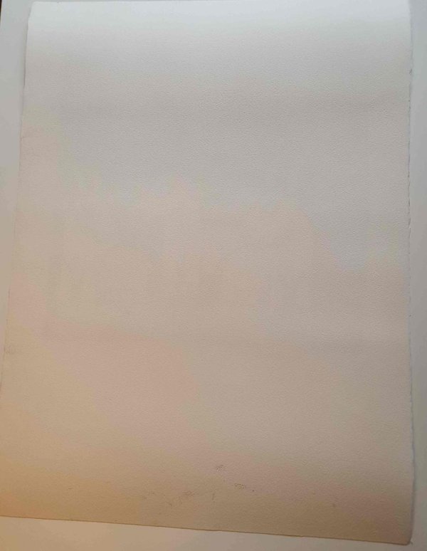 Introuvable ! Trois lithographies de M CHAT tryptique