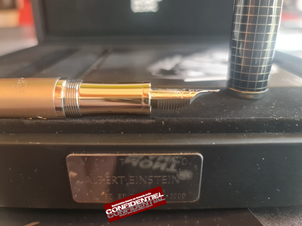 Stylo plume Montblanc Albert Einstein LE 3000 Limited Edition