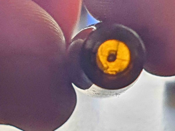 Stylo plume Montblanc n°32 1960