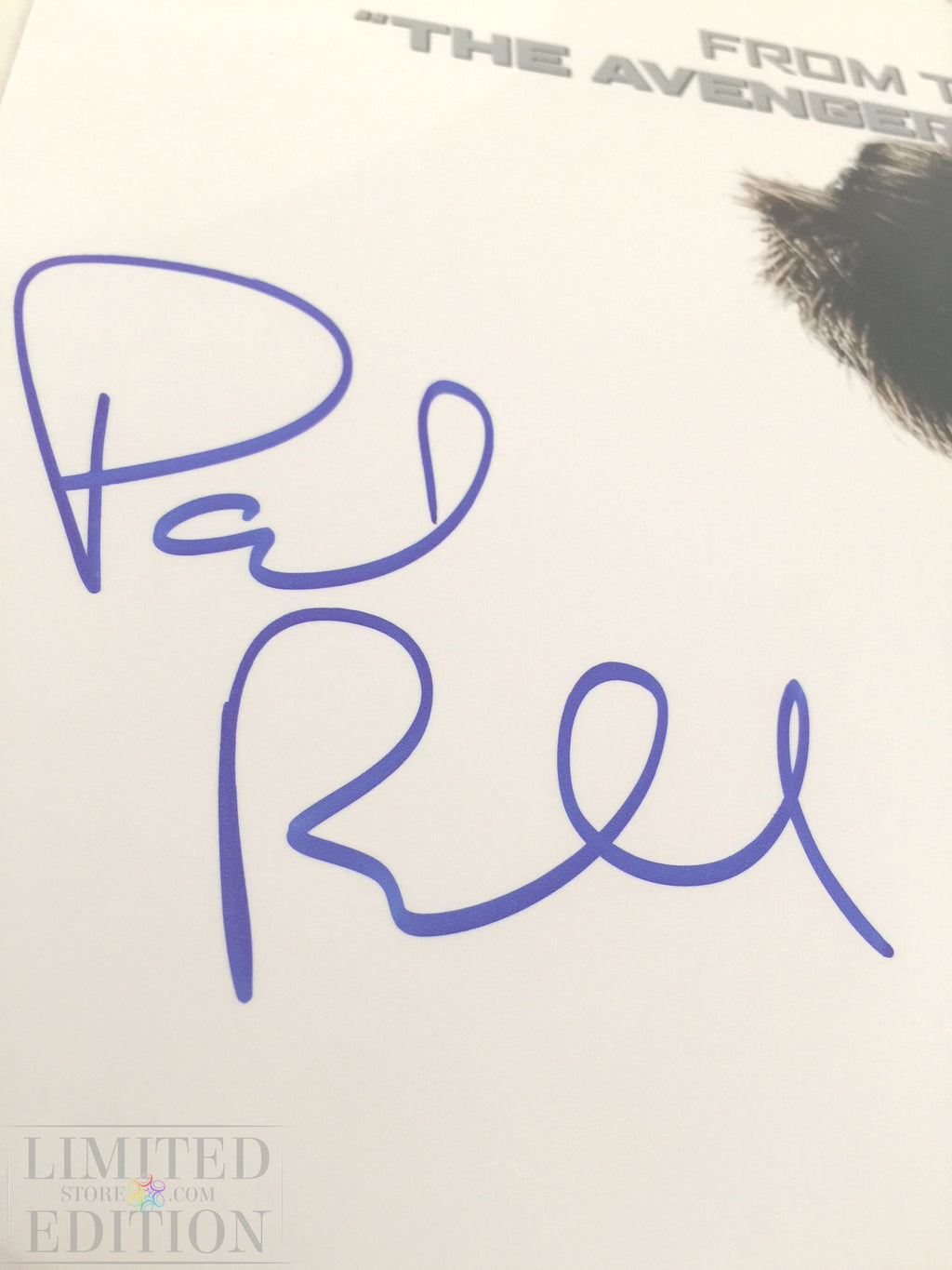 Autographe de Paul Rudd sur l'affiche du film Halloween The curse of Michael Meyers