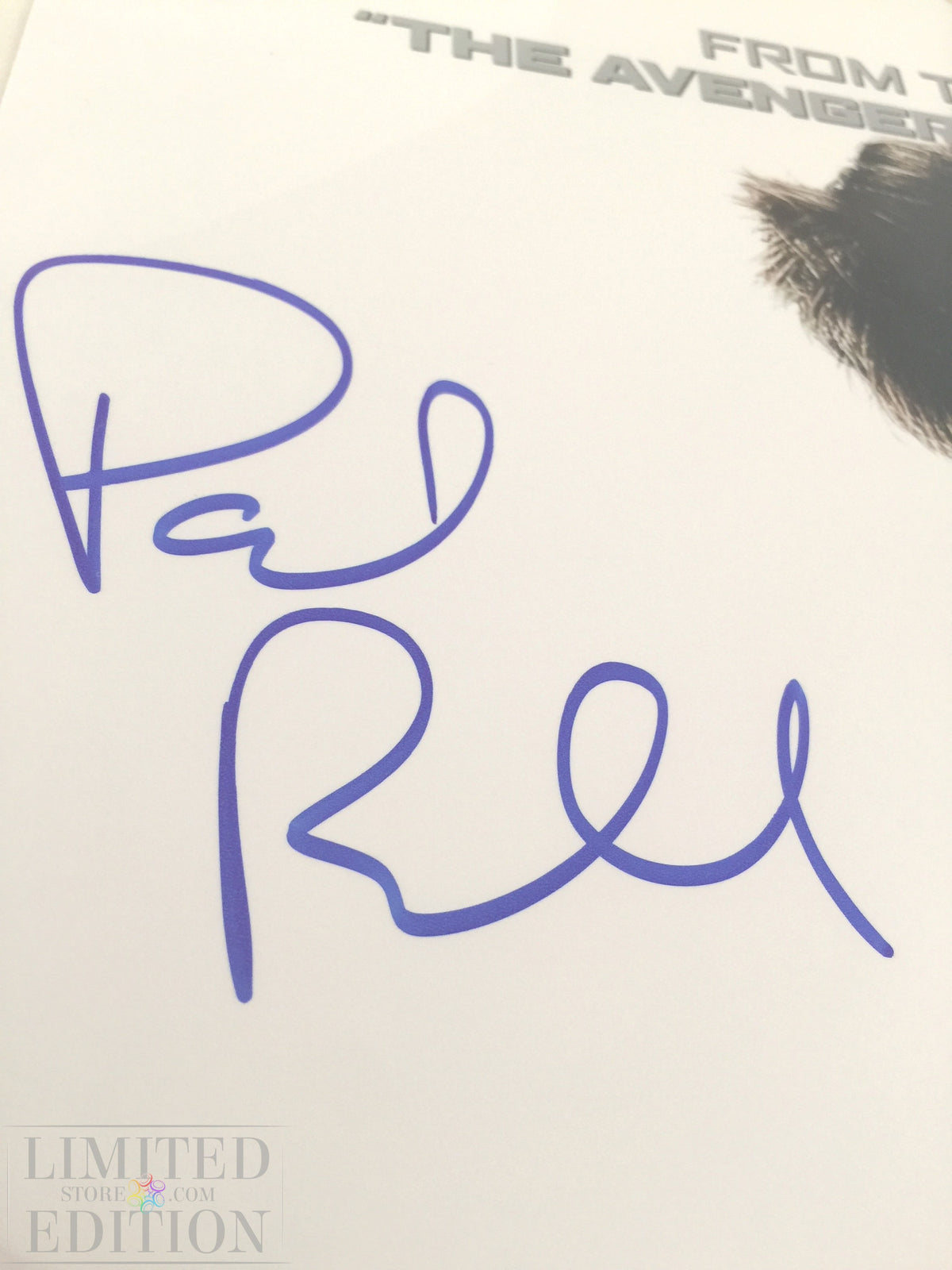 Autographe de Paul Rudd sur l'affiche du film Halloween The curse of Michael Meyers
