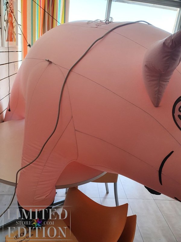 Cochon volant du concert des Pink Floyd