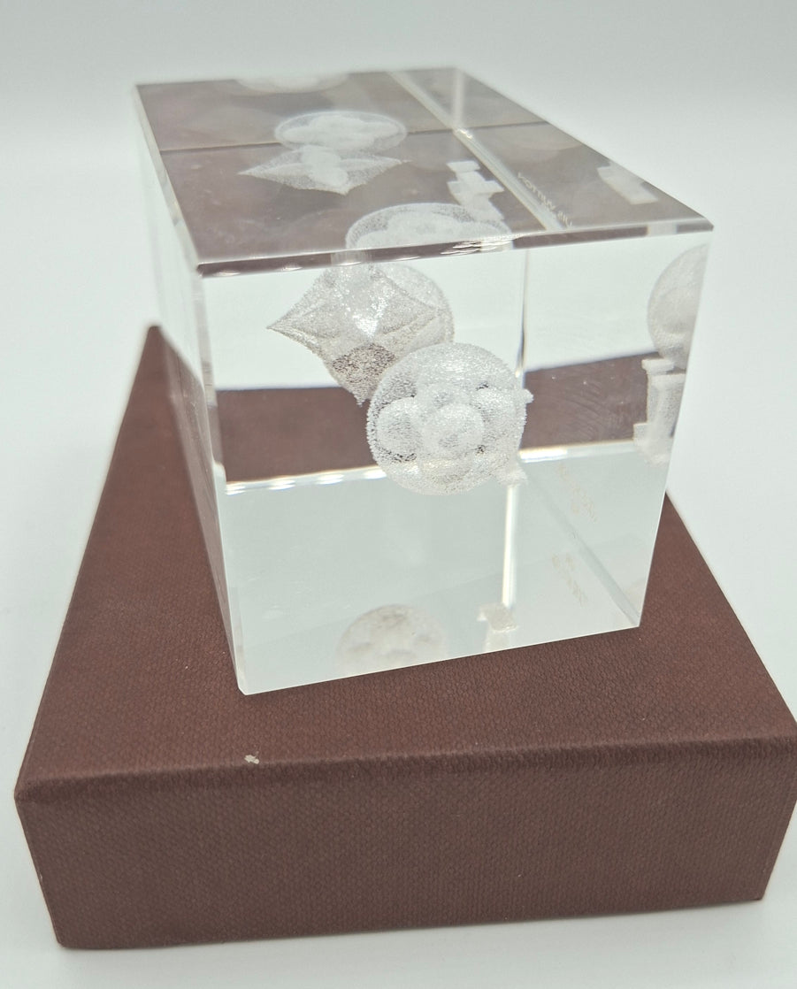Presse-papier VIP cristal Louis Vuitton avec sa boite