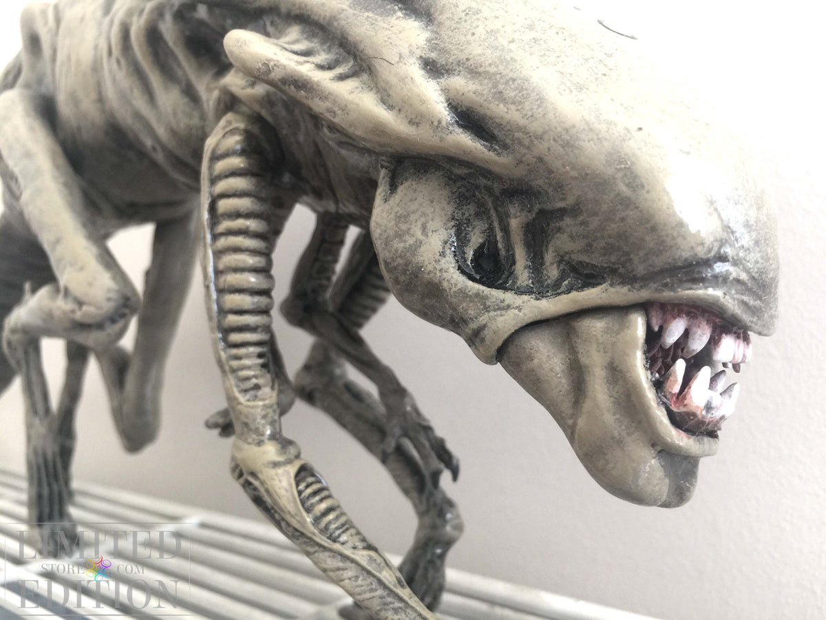 ALIEN taille réelle signé par Sigourney Weaver. Certificat avec photo et hologramme.