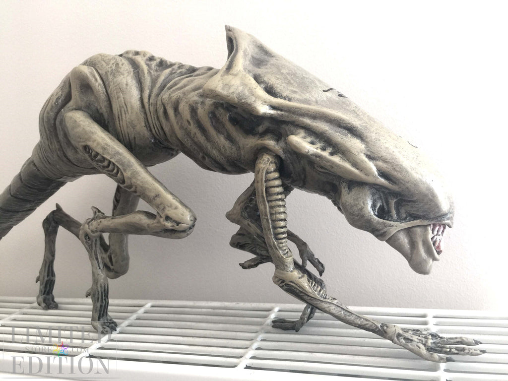 ALIEN taille réelle signé par Sigourney Weaver. Certificat avec photo et hologramme.