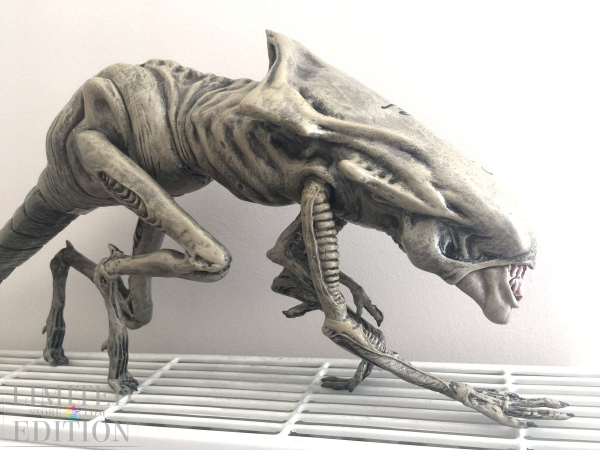 ALIEN taille réelle signé par Sigourney Weaver. Certificat avec photo et hologramme.