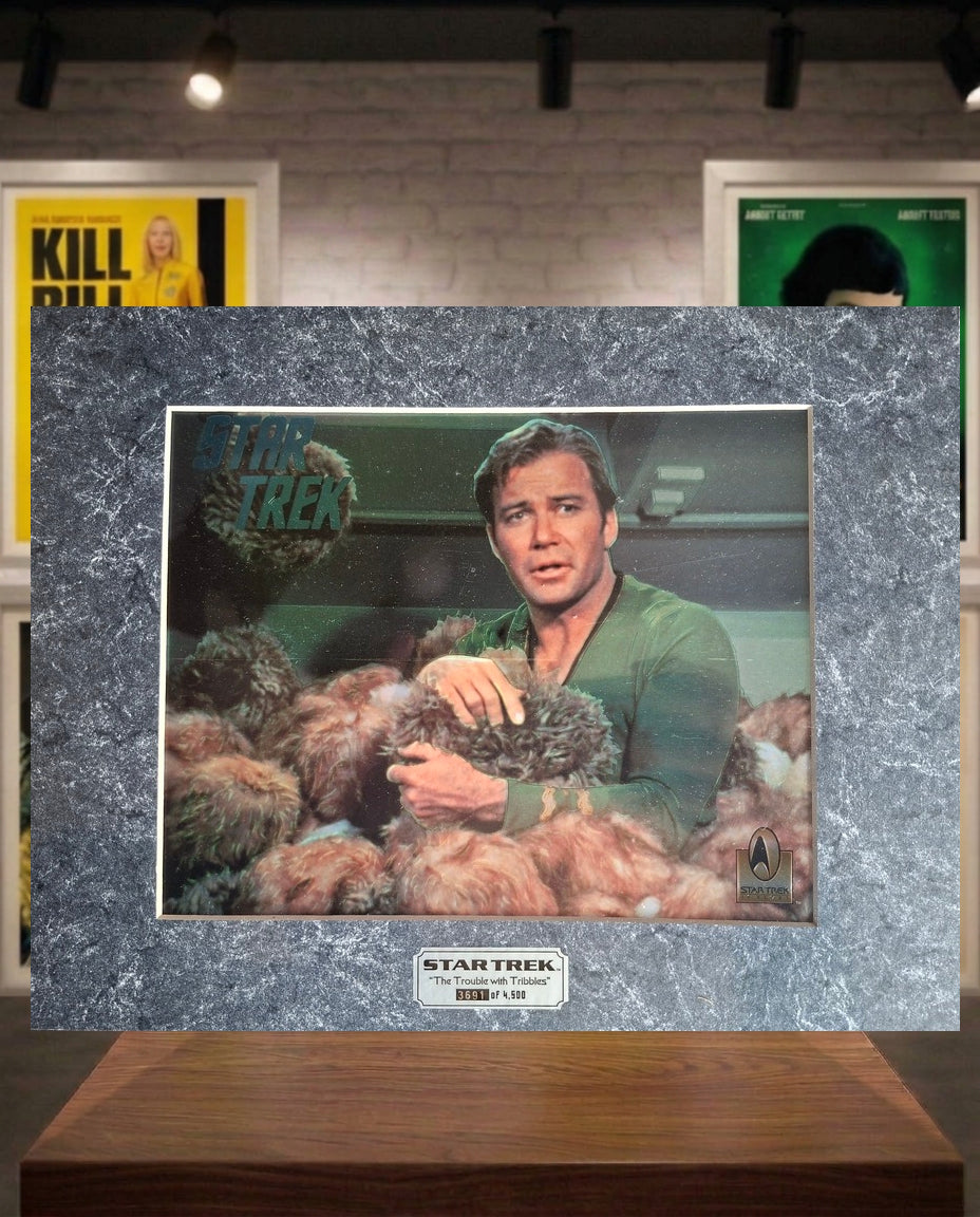 Star Trek Limited Edition 4500 The trouble with Tribbles