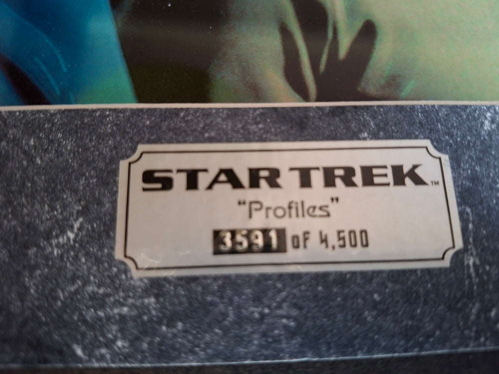 Star Trek Profiles poster encadré. Edition limitée