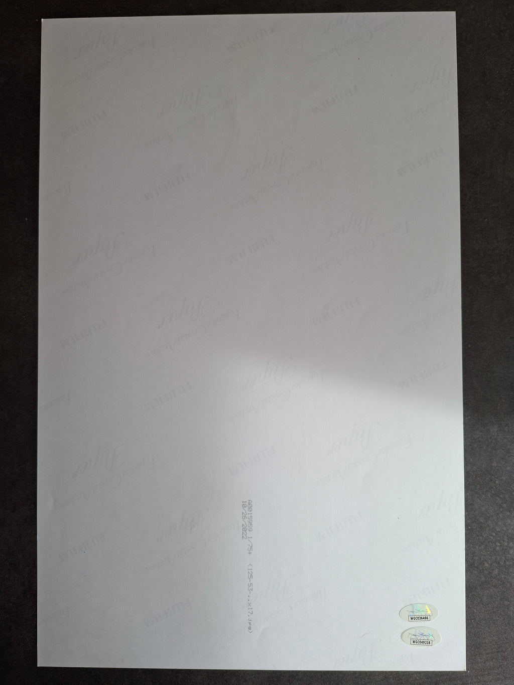 Poster Star Trek The Motion Picture signé par Shatner Takei Koenig JSA certificat