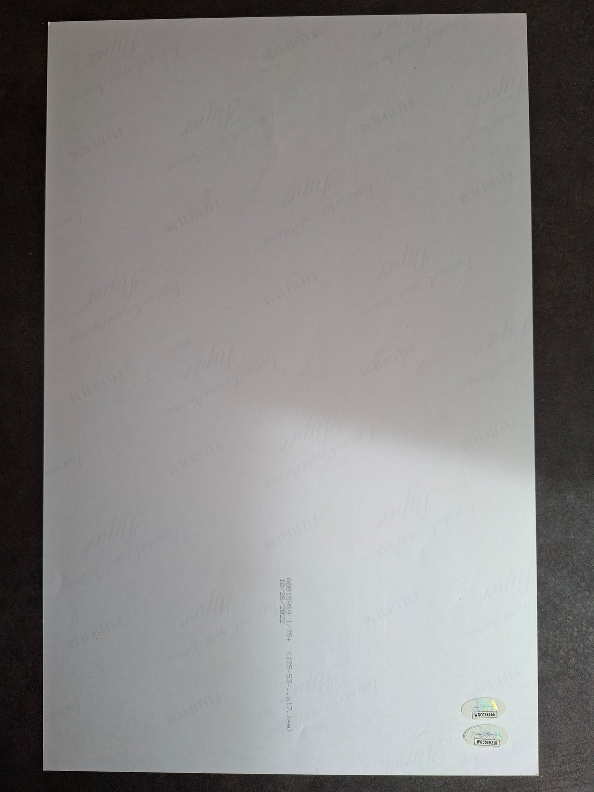 Poster Star Trek The Motion Picture signé par Shatner Takei Koenig JSA certificat