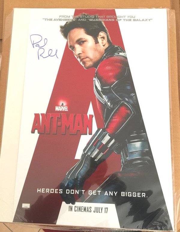 40x61 Poster Antman Marvel Avengers signed by Paul Rudd COA