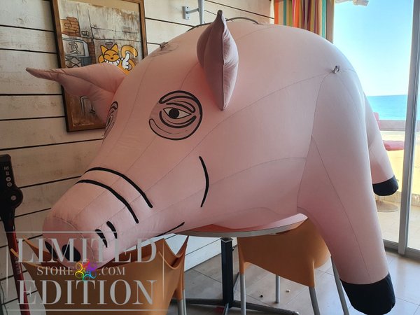 Inflatable Flying pig from Pink Floyd European tour
